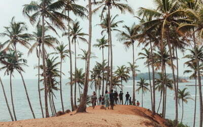 10 Best Things To Do in Mirissa, Sri Lanka