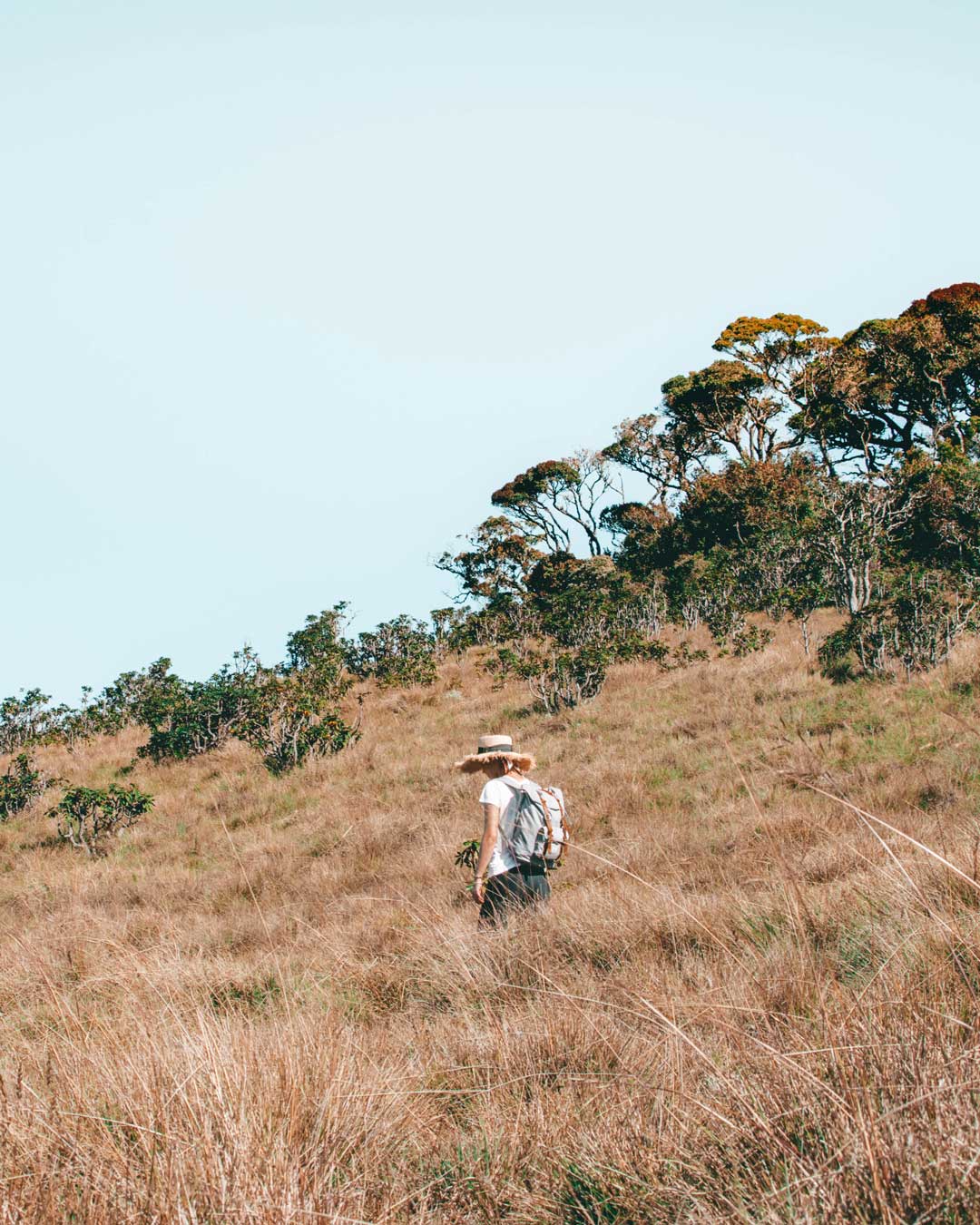 horton plains national park