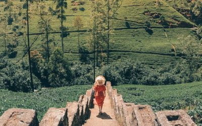 6 x Best Things To Do in Nuwara Eliya, Sri Lanka