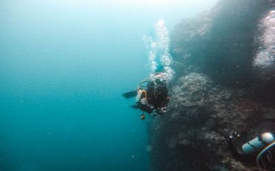 Things To Do in Moalboal, Cebu